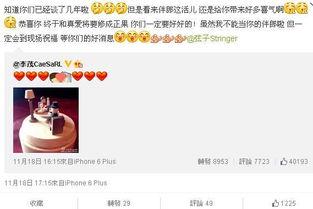 演员魏巍老婆,演艺圈背后的贤内助