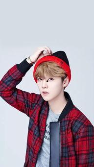 下载鹿晗照片,捕捉偶像的瞬间魅力