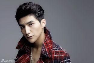 赤子娱乐艺人,闪耀舞台的璀璨星辉