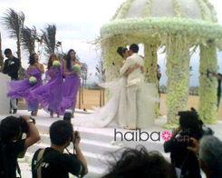 明星婚礼海报,明星婚礼海报大揭秘